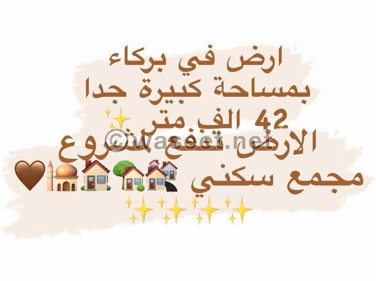 أرض سكنية بمساحة كبيرة جدًا ٤٢ الف 0